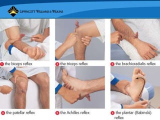 Copyright © 2007 Lippincott Williams & Wilkins.
 