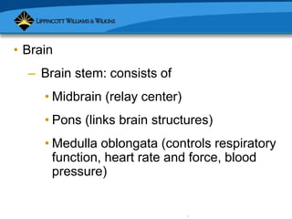 Copyright © 2007 Lippincott Williams & Wilkins.
• Brain
– Brain stem: consists of
• Midbrain (relay center)
• Pons (links brain structures)
• Medulla oblongata (controls respiratory
function, heart rate and force, blood
pressure)
 