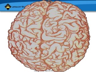 Copyright © 2007 Lippincott Williams & Wilkins.
 