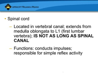 Copyright © 2007 Lippincott Williams & Wilkins.
• Spinal cord
– Located in vertebral canal; extends from
medulla oblongata to L1 (first lumbar
vertebra); IS NOT AS LONG AS SPINAL
CANAL
– Functions: conducts impulses;
responsible for simple reflex activity
 