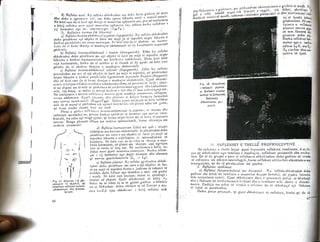 Neurologjia1