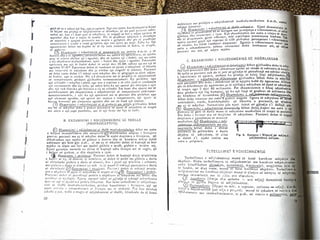 Neurologjia1