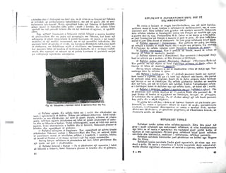 Neurologjia1