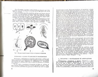 Neurologjia1