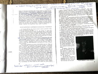 Neurologjia1