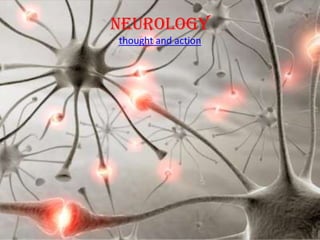 Neurologythought and action 