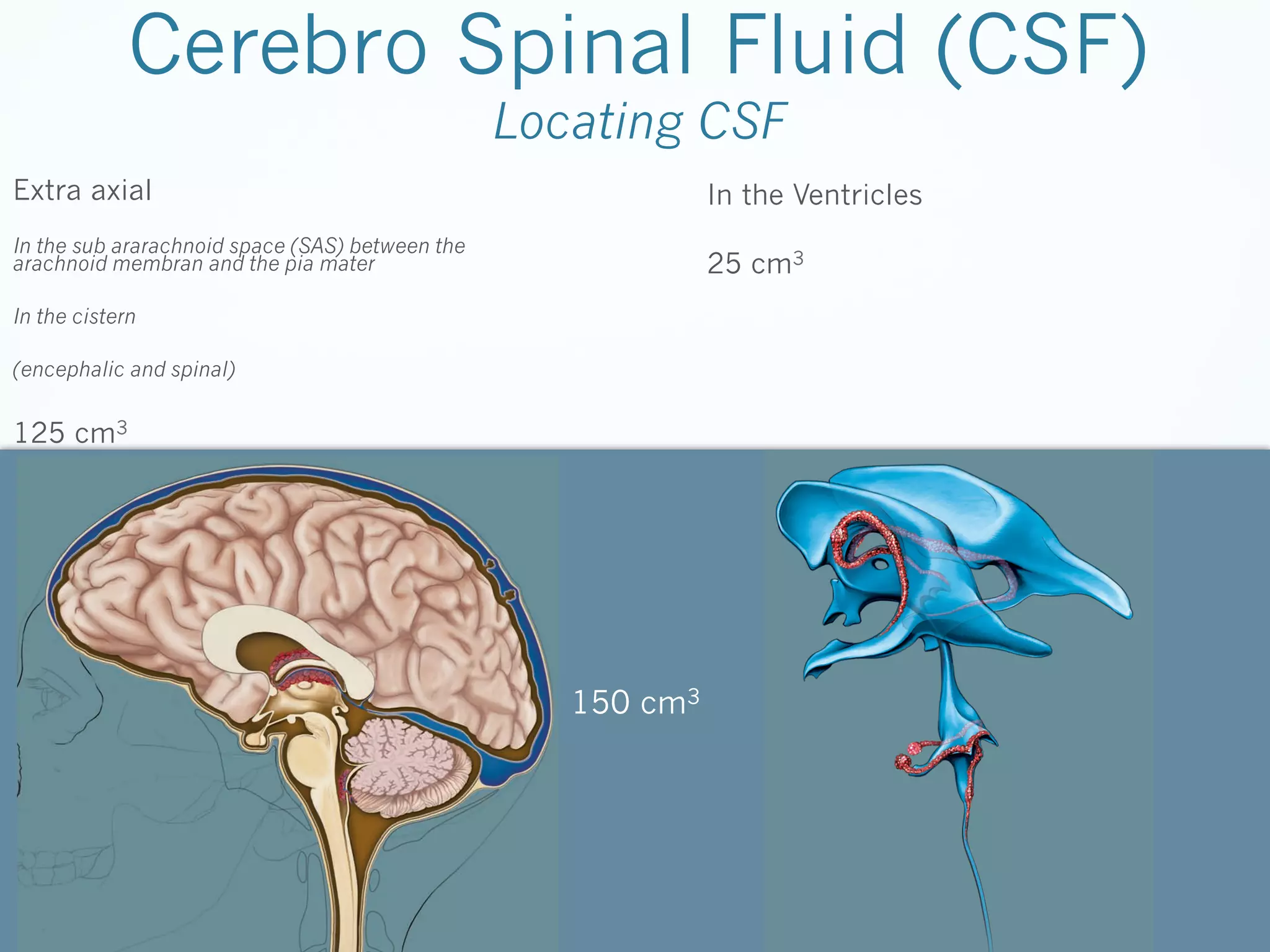 Cerebro Spinal Fluid (CSF)
Locating CSF

Extra axial

In the Ventricles

In the sub ararachnoid space (SAS) between the
arachnoid membran and the pia mater

25 cm3

In the cistern
(encephalic and spinal)

125 cm3

150 cm3

 