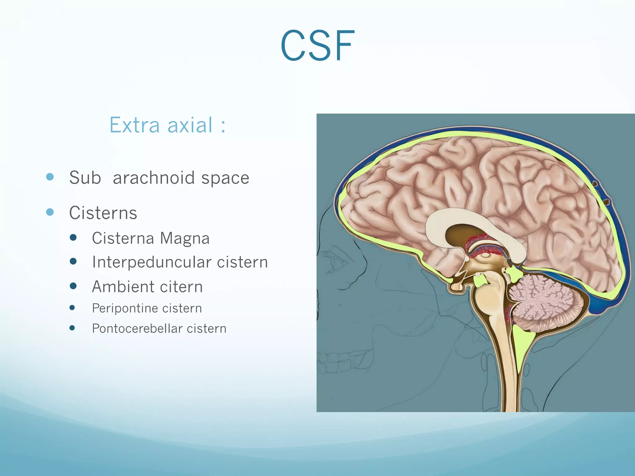 CSF
Extra axial :
—  Sub arachnoid space
—  Cisterns
—  Cisterna Magna
—  Interpeduncular cistern
—  Ambient citern
— 
— 

Peripontine cistern
Pontocerebellar cistern

 