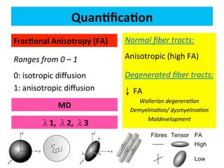 Neurology advanced mr imaging in epilepsy v lai | PDF