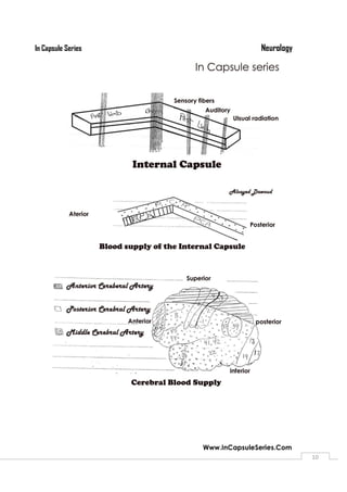 NeurologyIn Capsule Series
Www.InCapsuleSeries.Com
10
 