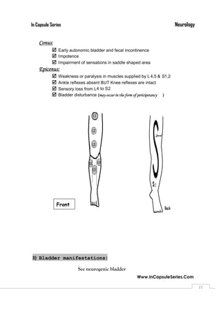 NeurologyIn Capsule Series
Www.InCapsuleSeries.Com
2121
Conus:
 Early autonomic bladder and fecal incontinence
 Impotence
 Impairment of sensations in saddle shaped area
Epiconus:
 Weakness or paralysis in muscles supplied by L4,5 & S1,2
 Ankle reflexes absent BUT Knee reflexes are intact
 Sensory loss from L4 to S2
 Bladder disturbance (may occur in the form of pericipetancy )
3) Bladder manifestations:
See neurogenic bladder
Front
 