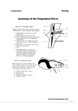 NeurologyIn Capsule Series
Www.InCapsuleSeries.Com
6262
 