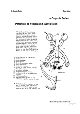 NeurologyIn Capsule Series
Www.InCapsuleSeries.Com
6565
 