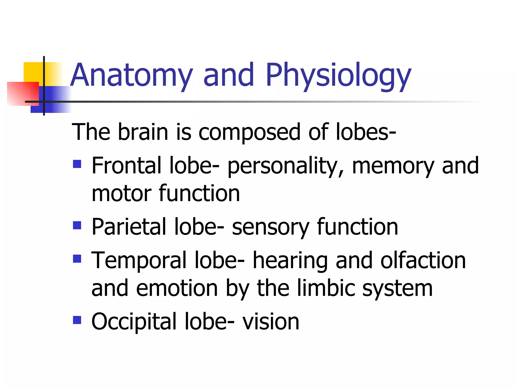 Anatomy and Physiology The brain is composed of lobes- Frontal lobe- personality, memory and motor function Parietal lobe- sensory function Temporal lobe- hearing and olfaction and emotion by the limbic system Occipital lobe- vision 