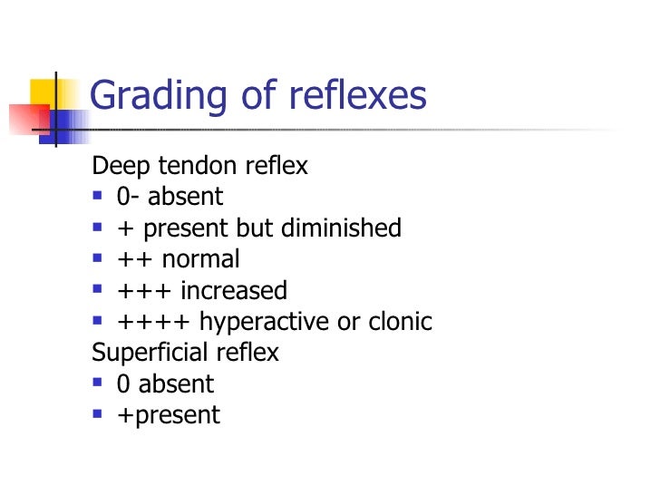 neurology part 1 smith mcmillan form