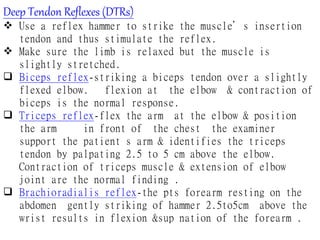 neurology (1).pptx