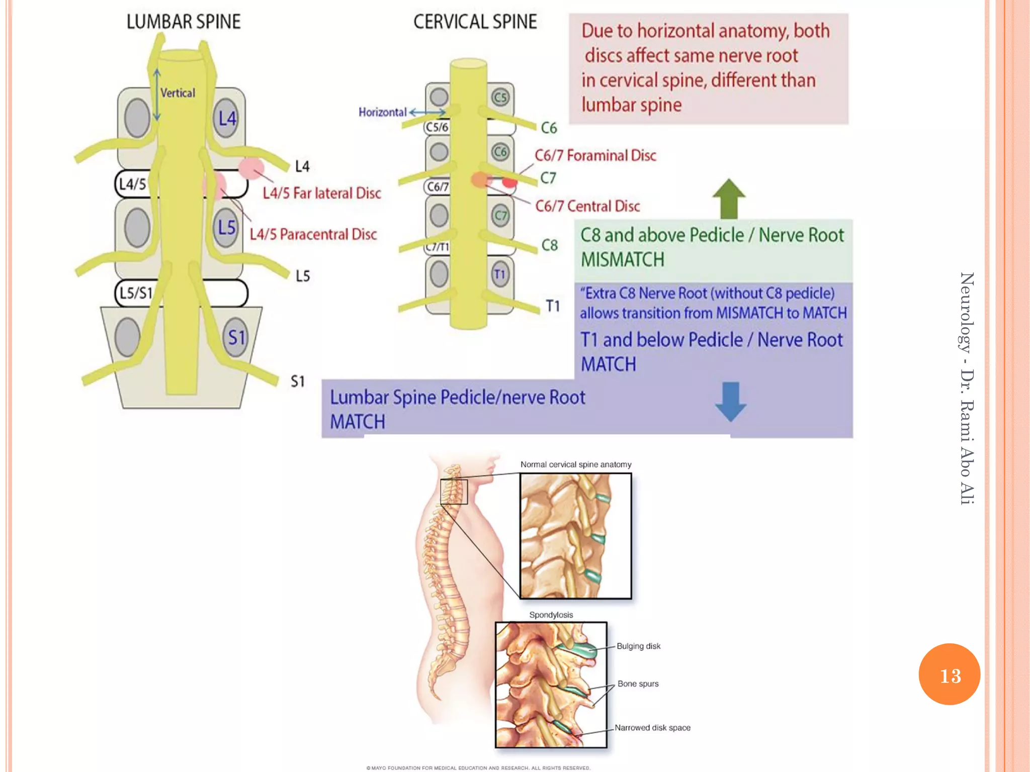 脊椎脊髄病学 = PRINCIPLES OF SPINAL DISORDERS 脊椎脊髄病学 = PRINCIPLES OF SPINAL DISORDERS Biomechanics