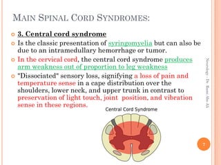 Neurology 12th disorders of the spine and spinal cord | PDF