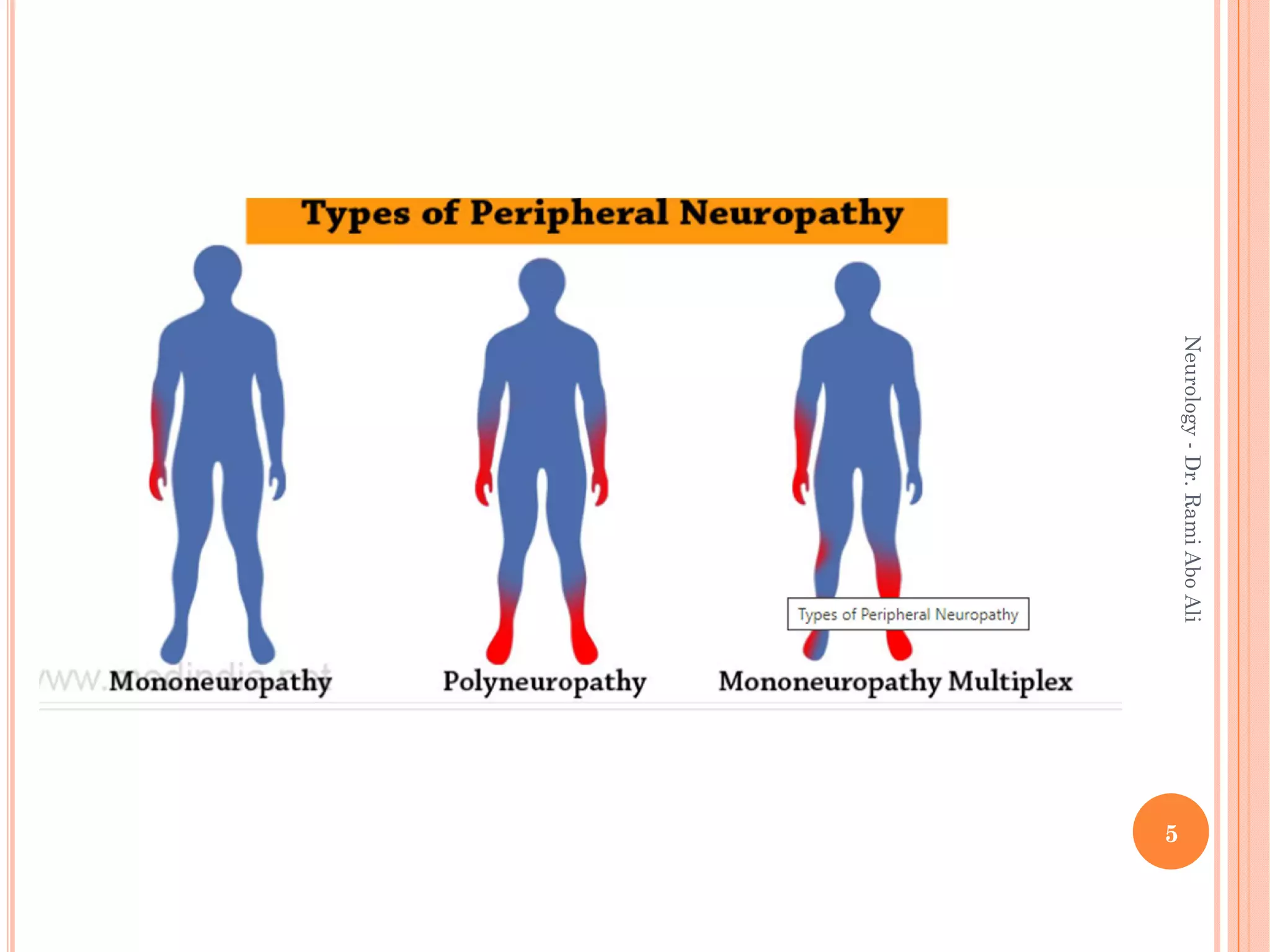 5
Neurology
-
Dr.
Rami
Abo
Ali
 