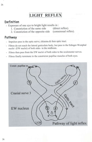 26
oc;1GHT REFLExj
Definition
- Exposure ofone eye to bright light results in :
1. Constriction ofthe same side (direct reflex).
2. Constriction ofthe opposite side (consensual reflex).
Pathway
- Impulses pass in the optic nerve, chiasma & then optic tract.
- Fibres do not reach the lateral geniculate body, but pass to the Edinger-Westphal
nuclei (EW nuclei) ofboth sides in the midbrain.
- Fibres then pass from the EW nuclei ofboth sides to the oculomotor nerves.
- Fibres finally terminate in the constrictor pupillae muscles ofboth eyes.
Cranial nerve 3
EW nucleus
Pathway oflight reflex
26
 