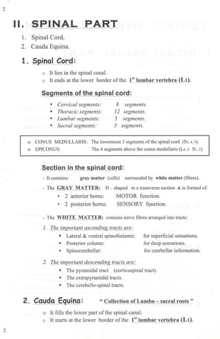 2
2
II. SPINAL PART
1. Spinal Cord.
2. Cauda Equina.
1. Spinal Cord:
o It lies in the spinal canal.
o It ends at the lower border ofthe 1
st
lumbar vertebra (Lt).
Segments of the spinal cord:
• Cervical segments: 8 segments.
• Thoracic segments: 12 segments.
• Lumbar segments: 5 segments.
• Sacral segments: 5 segments.
o CONUS MEDULLARIS: The lowermost 3 segments ofthe spinal cord (S3,4, 5).
o EPICONUS: The 4 segments above the conus medullaris (L4, 5, S1, 2).
Section in the spinal cord:
- It contains: gray matter (cells) surrounded by white matter (fibres).
- The GRAY MATTER: H - shaped in a transverse section & is formed of:
• 2 anterior horns: MOTOR function.
• 2 posterior horns: SENSORY function.
- The WIDTE MATTER: contains nerve fibres arranged into tracts:
1. The important ascending tracts are:
• Lateral & ventral spinothalamic:
• Posterior column:
• Spinocerebellar:
2. The important descending tracts are:
for superficial sensations.
for deep sensations.
for cerebellar information.
• The pyramidal tract (corticospinal tract).
• The extrapyramidal tracts.
• The cerebello-spinal tracts.
2. Cauda Eguina: " Collection of Lumbo - sacral roots "
o It fills the lower part ofthe spinal canal.
o It starts at the lower border ofthe 1
st
lumbar vertebra (Lt).
 