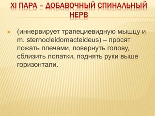 XI ПАРА – ДОБАВОЧНЫЙ СПИНАЛЬНЫЙ
НЕРВ
 (иннервирует трапециевидную мышцу и
m. sternocleidomacteideus) – просят
пожать плечами, повернуть голову,
сблизить лопатки, поднять руки выше
горизонтали.
 