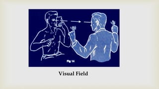 Visual Field
 