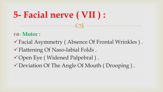 
- Motor :
Facial Asymmetry ( Absence Of Frontal Wrinkles ) .
Flattening Of Naso-labial Folds .
Open Eye ( Widened Palpebral ) .
Deviation Of The Angle Of Mouth ( Drooping ) .
5- Facial nerve ( VII ) :
 