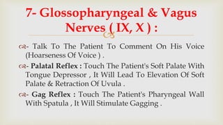 
7- Glossopharyngeal & Vagus
Nerves ( IX, X ) :
- Talk To The Patient To Comment On His Voice
(Hoarseness Of Voice ) .
- Palatal Reflex : Touch The Patient's Soft Palate With
Tongue Depressor , It Will Lead To Elevation Of Soft
Palate & Retraction Of Uvula .
- Gag Reflex : Touch The Patient's Pharyngeal Wall
With Spatula , It Will Stimulate Gagging .
 