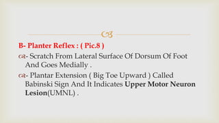 
B- Planter Reflex : ( Pic.8 )
- Scratch From Lateral Surface Of Dorsum Of Foot
And Goes Medially .
- Plantar Extension ( Big Toe Upward ) Called
Babinski Sign And It Indicates Upper Motor Neuron
Lesion(UMNL) .
 