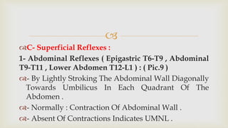 
C- Superficial Reflexes :
1- Abdominal Reflexes ( Epigastric T6-T9 , Abdominal
T9-T11 , Lower Abdomen T12-L1 ) : ( Pic.9 )
- By Lightly Stroking The Abdominal Wall Diagonally
Towards Umbilicus In Each Quadrant Of The
Abdomen .
- Normally : Contraction Of Abdominal Wall .
- Absent Of Contractions Indicates UMNL .
 