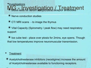 •Investigations
MG -tests for serum acetylcholine receptor antibodies
Investigation / Treatment
✴Blood
✴Nerve conduction studies
✴CT/ MRI scans - to image the thymus
✴Vital Capacity (Spirometry / peak flow) may need respiratory
support

✴Ice cube test - place over ptosis for 2mins, eye opens. Though
that low temperatures improve neuromuscular transmission.

• Treatment
✴Acetylcholinesterase inhibitors (neostigime) increase the amount
of Acetylcholinesterase available to functioning receptors.

 