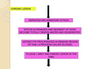 REPEATED INFLAMMATORY ATTACK
MYELIN IS DEMAGED AND SEGMENT OF AXON
BECOME TOTALLY DEMYELINATED AND DEGENRATED
ASTROCYTE PROLIFERATES IN DEMAGE REGION
OF CNS ( A PROCESS CALLED GLIOSIS).
PLAGUE ( GREY AND PINKISH LESION IN THE
CNS).
CHRONIC LESION
 