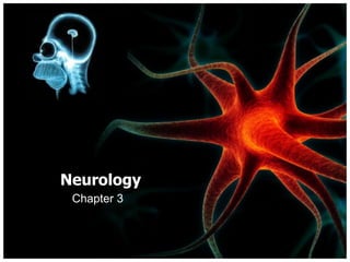Neurology
Chapter 3
 