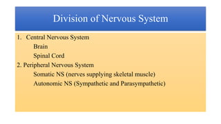 Division of Nervous System
1. Central Nervous System
Brain
Spinal Cord
2. Peripheral Nervous System
Somatic NS (nerves supplying skeletal muscle)
Autonomic NS (Sympathetic and Parasympathetic)
 