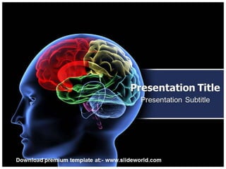 Neurology Powerpoint Template - SlideWorld
