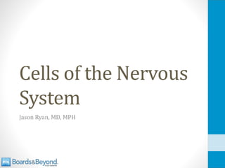 Cells of the Nervous
System
Jason Ryan, MD, MPH
 