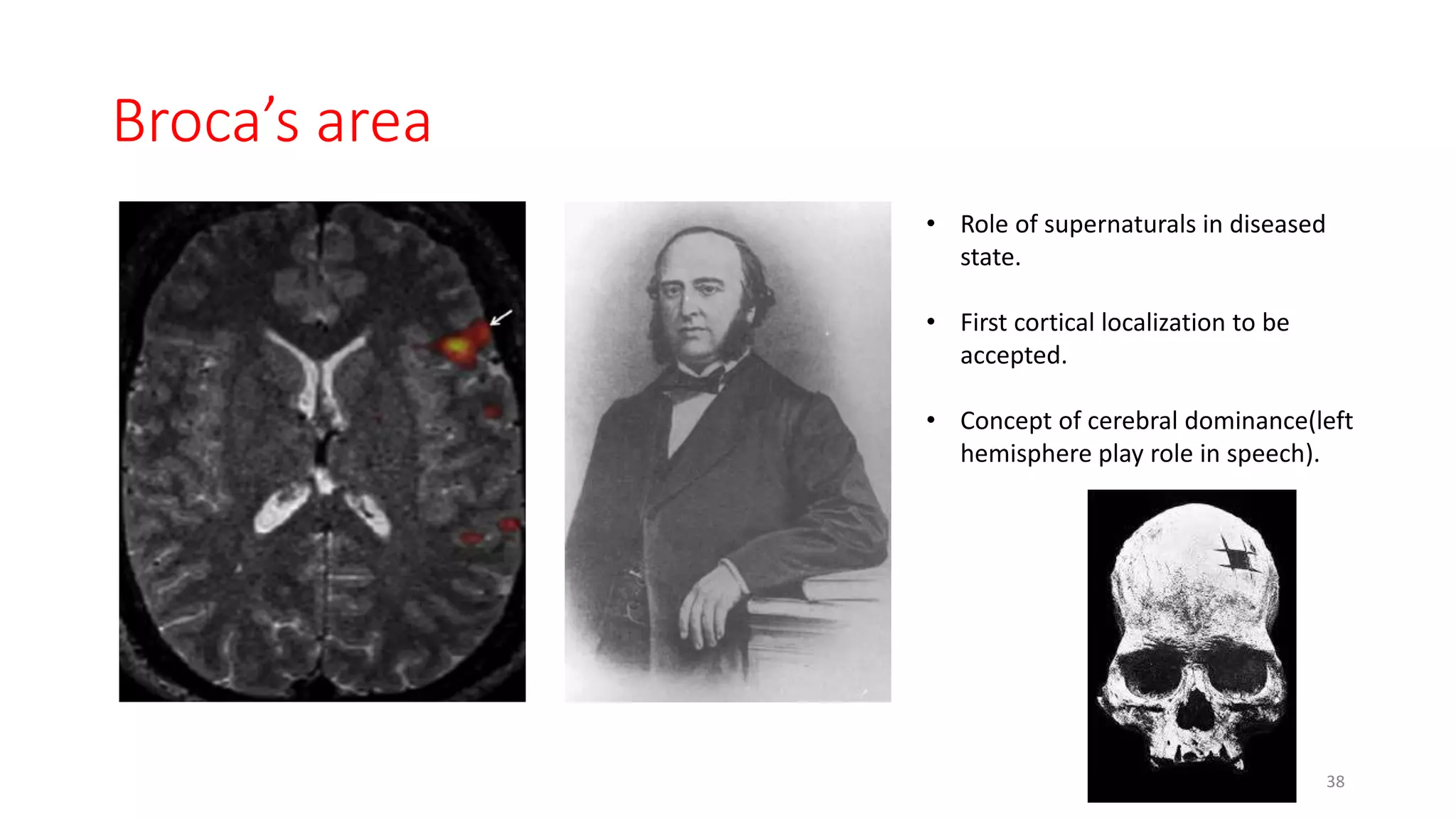 Broca’s area
38
• Role of supernaturals in diseased
state.
• First cortical localization to be
accepted.
• Concept of cerebral dominance(left
hemisphere play role in speech).
 