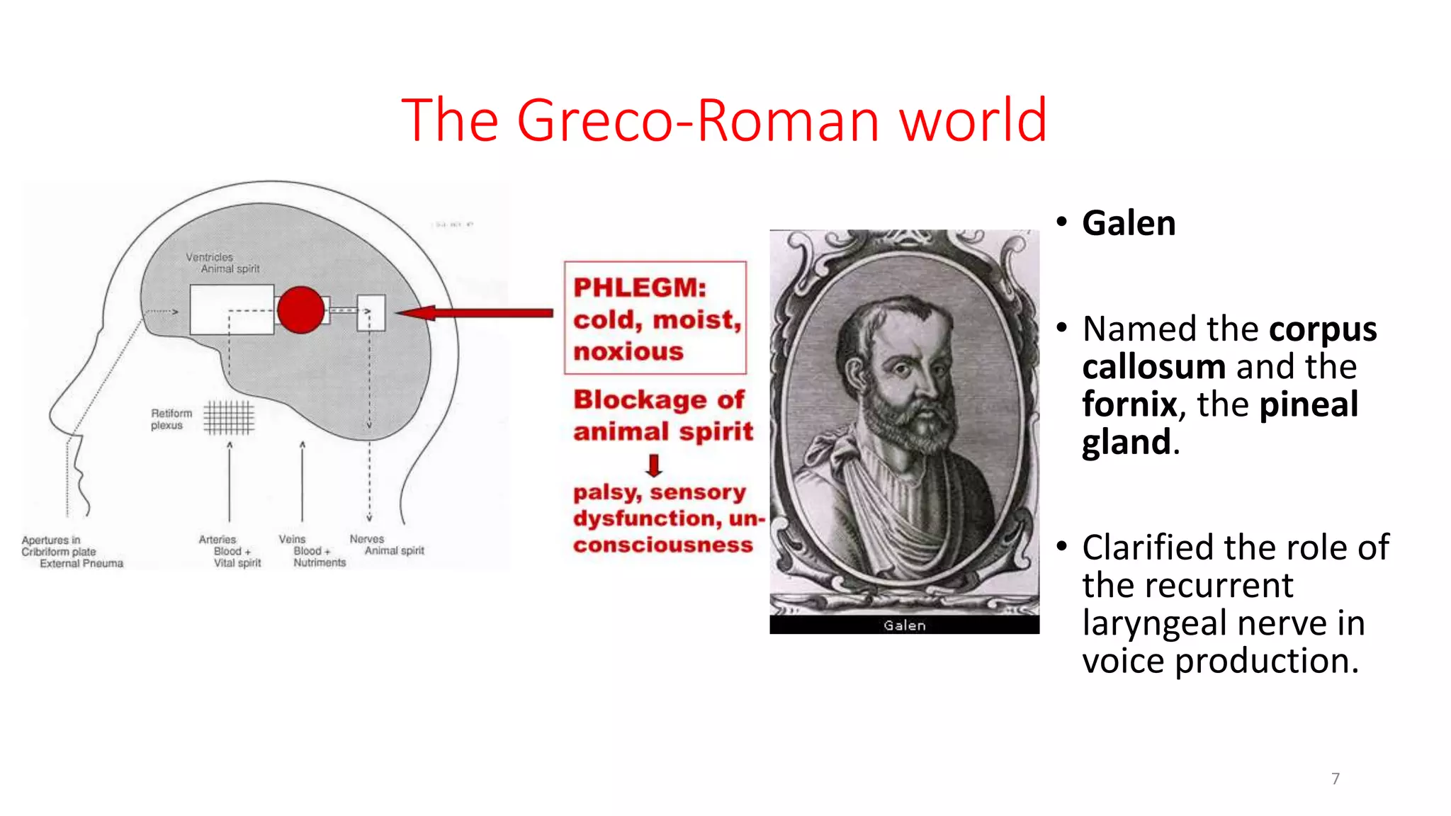 The Greco-Roman world
• Galen
• Named the corpus
callosum and the
fornix, the pineal
gland.
• Clarified the role of
the recurrent
laryngeal nerve in
voice production.
7
 