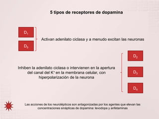 5 tipos de receptores de dopaminaD1Activan adenilatociclasa y a menudo excitan las neuronas D5D2Inhiben la adenilatociclasa o intervienen en la apertura del canal del K+ en la membrana celular, con hiperpolarización de la neuronaD3D4Las acciones de los neurolépticos son antagonizadas por los agentes que elevan las concentraciones sinápticas de dopamina: levodopa y anfetaminas 