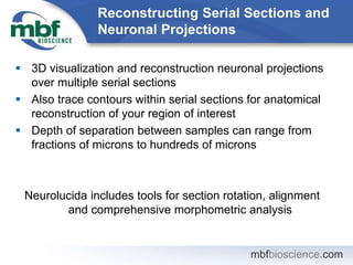 Neuron Analysis Workshop: Neuron Tracing from Tissue Specimens at the ...