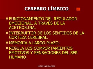 CEREBRO LÍMBICO FUNCIONAMIENTO DEL REGULADOR EMOCIONAL, A TRAVÉS DE LA ACETICOLINA. INTERRUPTOR DE LOS SENTIDOS DE LA CORTEZA CEREBRAL. MEMORIA A LARGO PLAZO. REGULA LOS COMPORTAMIENTOS EMOTIVOS Y SENSACIONES DEL SER HUMANO 