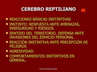 CEREBRO REPTILIANO REACCIONES BÁSICAS INSTINTIVAS INSTINTO: RESPUESTA ANTE AMENAZAS, INSEGURIDAD Y RIESGOS. SENTIDO DEL TERRITORIO, DEFENSA ANTE INVASIONES DEL ESPACIO PERSONAL. REACCIÓN INSTINTIVA ANTE PERCEPCIÓN DE PELIGROS AGRESIVIDAD. COMPORTAMIENTOS INSTINTIVOS EN GENERAL. 