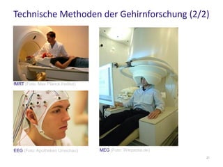 Technische Methoden der Gehirnforschung (2/2)
fMRT (Foto: Max Planck Institut)
EEG (Foto: Apotheken Umschau) MEG (Foto: Wi...