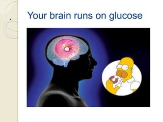 Your brain runs on glucose.
 