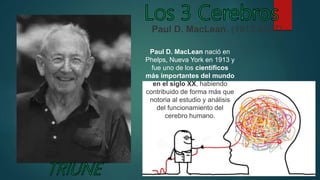 Paul D. MacLean. (1913-2007).
Paul D. MacLean nació en
Phelps, Nueva York en 1913 y
fue uno de los científicos
más importantes del mundo
en el siglo XX, habiendo
contribuido de forma más que
notoria al estudio y análisis
del funcionamiento del
cerebro humano.
 