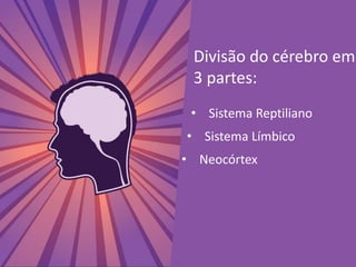 Divisão do cérebro em
3 partes:
• Sistema Reptiliano
• Sistema Límbico
• Neocórtex
 