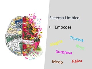 Sistema Límbico
• Emoções
 