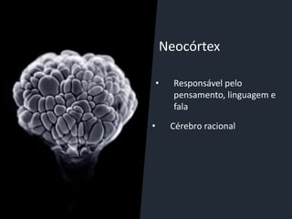 Neocórtex
• Responsável pelo
pensamento, linguagem e
fala
• Cérebro racional
 