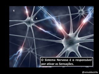 @reinaldocirilo
O Sistema Nervoso é o responsável
por ativar as Sensações.
 